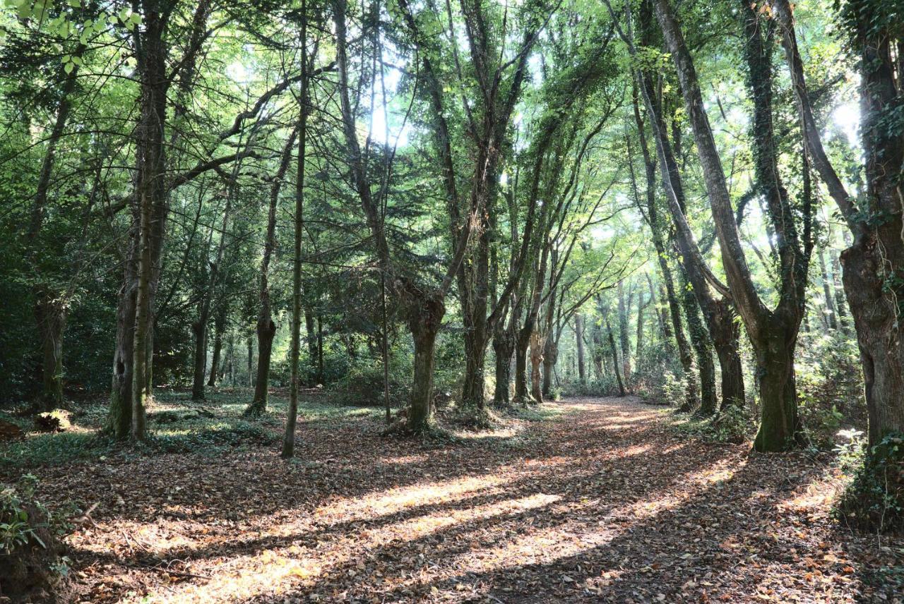 Manoir De Kerguestenen Gestel Dış mekan fotoğraf